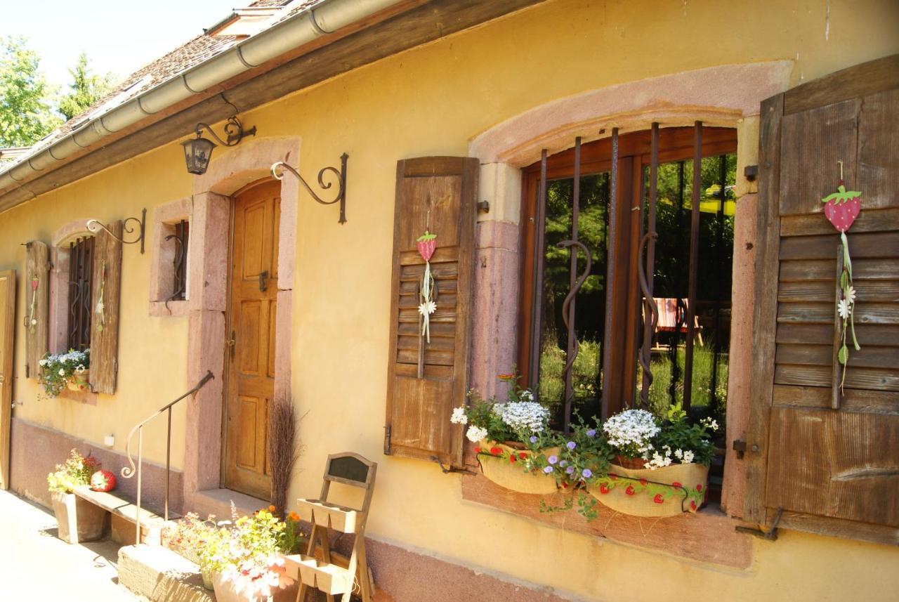 Gite Du Thalala Bernardville Exterior photo
